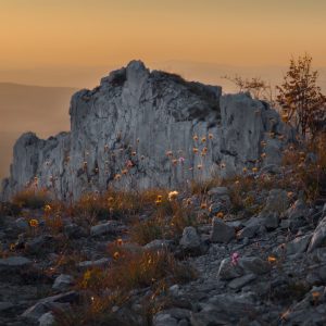 Unesco Global Geopark Bükk
